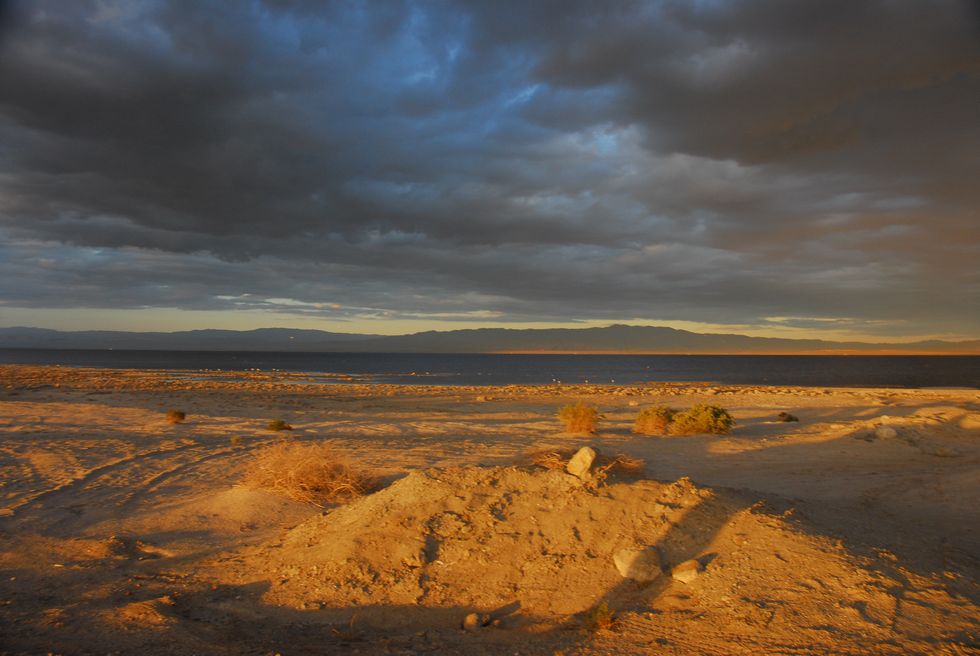 A Dead Sea