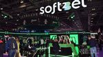 Soft2Bet's ToonieBet Partners with the Ottawa Senators as Official Online Casino Partner