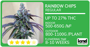 Understanding Autoflower Seeds Benefits and Growing Tips