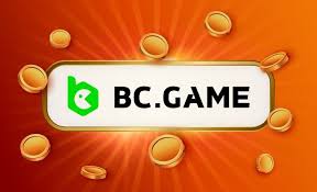 Comprehensive Guide to Withdrawals BCGame 3