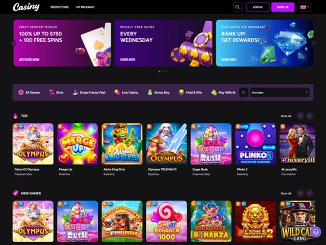 Discover the Thrills of Casiny Casino A Comprehensive Review